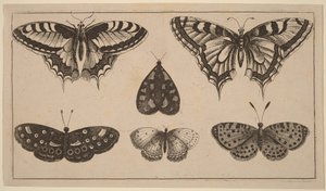  da Wenceslaus Hollar
