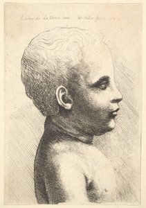 Testa e spalle di un bambino, di profilo a destra, 1645
