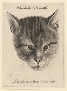  da Wenceslaus Hollar