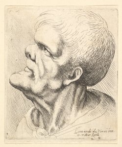 Testa di un uomo con mento sporgente e naso schiacciato che guarda in alto in profilo a sinistra, 1625-77 da Wenceslaus Hollar