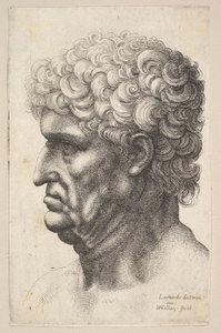 Testa di un uomo con capelli ricci folti di profilo a sinistra, 1640-49 da Wenceslaus Hollar
