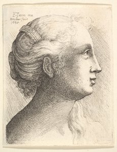Testa di una giovane donna di profilo a destra da Wenceslaus Hollar