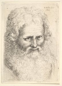 Testa di un vecchio con una grande barba, 1645 da Wenceslaus Hollar