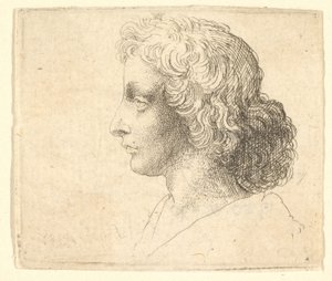 Testa di giovane uomo con capelli lunghi di profilo a sinistra, 1644-52 da Wenceslaus Hollar