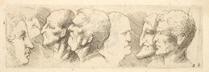 Studi di teste