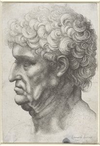 Testa di uomo con capelli ricci, di profilo