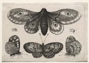  da Wenceslaus Hollar
