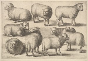 Nove pecore da Wenceslaus Hollar