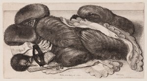 da Wenceslaus Hollar