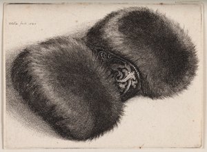  da Wenceslaus Hollar