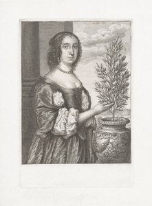 Ritratto di una donna in piedi accanto a una pianta di alloro da Wenceslaus Hollar