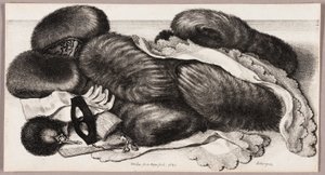 Natura morta con un gruppo di manicotti, un paio di guanti e due fazzoletti da Wenceslaus Hollar