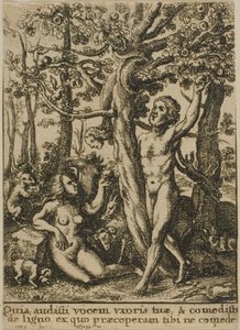 Il Giardino dell