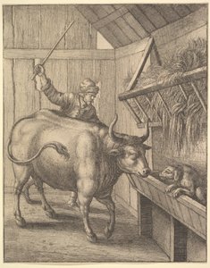 Il cane nella mangiatoia da illustrazione a Esopiche di John Ogilby: O una seconda raccolta..., 1666 da Wenceslaus Hollar