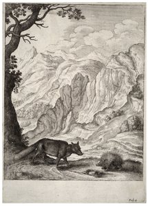 La volpe e il porcospino da Wenceslaus Hollar