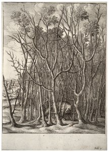 La volpe e il cespuglio di spine da Wenceslaus Hollar
