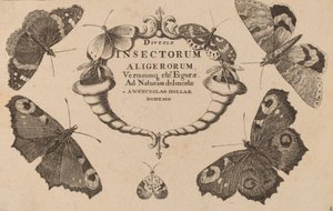 Pagina del titolo