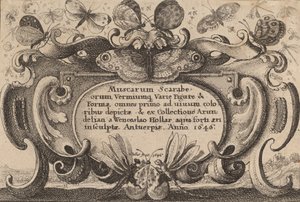 Pagina del titolo, 1646 da Wenceslaus Hollar