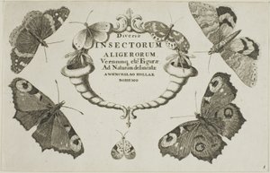 Pagina del titolo da Diversae Insectorum