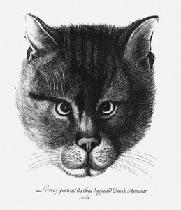 Vera immagine del gatto dello zar Alessio I Michajlovič di Russia da Wenceslaus Hollar