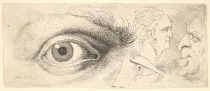 Due occhi e due teste, 1644-52 da Wenceslaus Hollar