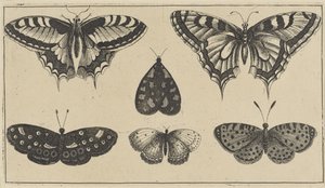 Cinque farfalle e una falena (serie Vari insetti) da Wenceslaus Hollar