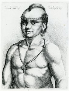 Indiano della Virginia, 1645
