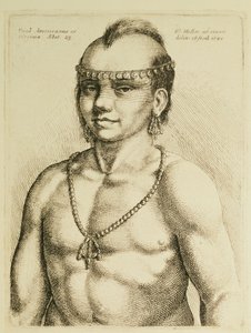 Indiano Virginiano da 