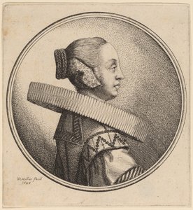 Donna con un colletto in profilo da Wenceslaus Hollar