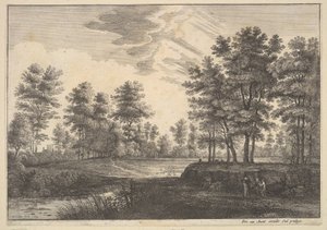 Paesaggio boscoso
