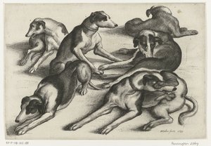 Sei cani da caccia sdraiati da Wenceslaus Hollar