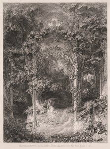 La fanciulla della foresta