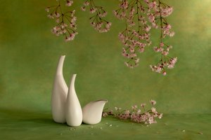  da Wendy Xu