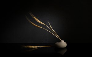  da Wendy Xu