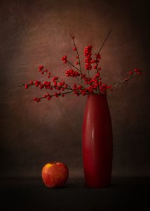  da Wendy Xu