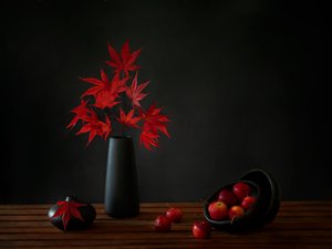  da Wendy Xu
