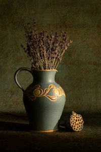  da Wendy Xu