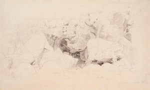 Scaglie di pietra nella foresta da Werner Holmberg