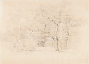 Paesaggio, boschetto da Werner Holmberg