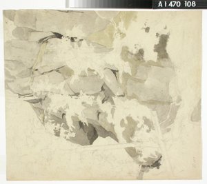 Chiostro della foresta, parete rocciosa scoscesa, alberi da Werner Holmberg