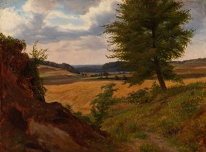 Albero in paesaggio di campagna, studio da Werner Holmberg