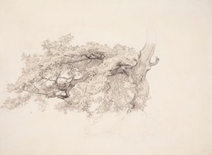  da Werner Holmberg