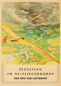Corpo dei Volontari Nazionalsocialisti - la strada verso la Luftwaffe