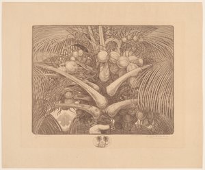Cima di una palma da cocco da Wijnand Otto Jan Nieuwenkamp (signed by artist)