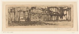Alberi di waringin in un giardino a Buitenzorg da Wijnand Otto Jan Nieuwenkamp (signed by artist)