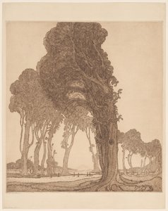 Parte della strada principale presso il villaggio di Cakranegara (Tjakranegara) a Lombok da Wijnand Otto Jan Nieuwenkamp