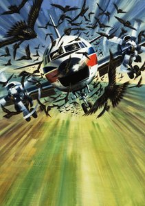 Un aereo di linea minacciato da uno stormo di uccelli da Wilf (20th century) Hardy