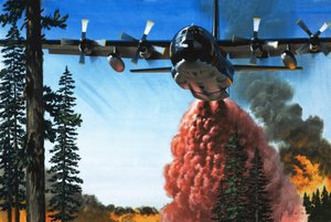 Bombardare un incendio boschivo