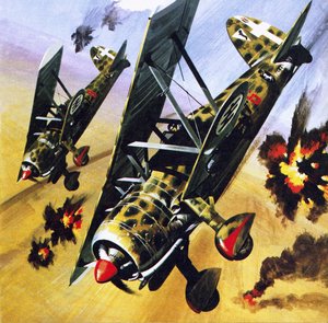 Due Fiat CR 42