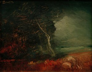 Bordo della foresta cupo (Fuoco di patate)